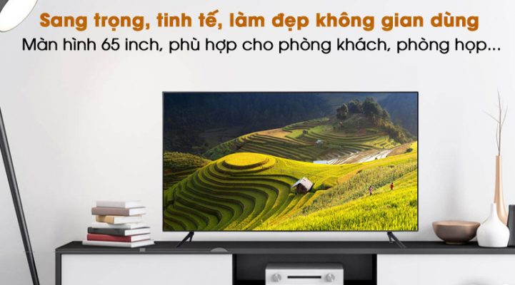 6. Khi nào nên lựa chọn TV Sony 65 inch cho gia đình?