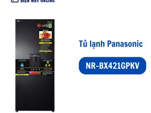 NR-BX421GPKV