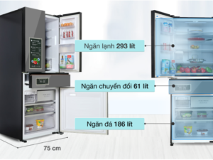 Review tủ lạnh Panasonic 540 lít YW590YMMV giảm dư lượng thuốc trừ sâu