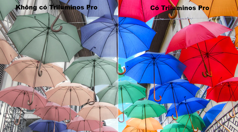 Dải màu sắc sống động với công nghệ Triluminos Pro