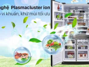Tủ lạnh Sharp SJ-FXP640VG-BK nhờ có công nghệ độc quyền Plasmacluster ion nên có khả năng diệt khuẩn tối đa