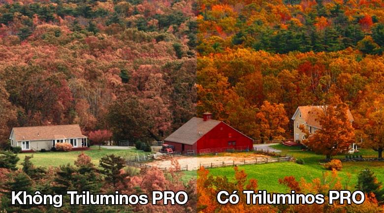 Công nghệ tạo màu Triluminos PRO cho màu sắc rực rỡ, gần với thực tế nhất 