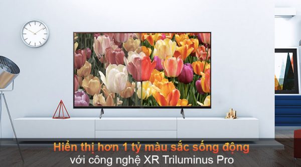 Tivi Sony 65X90J cùng với công nghệ XR Triluminus Pro hiển thị với hơn 1 tỷ màu sắc sống động nhất.