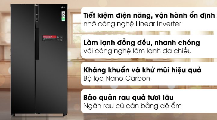 Tủ lạnh LG Inverter 649 Lít GR-B257WB