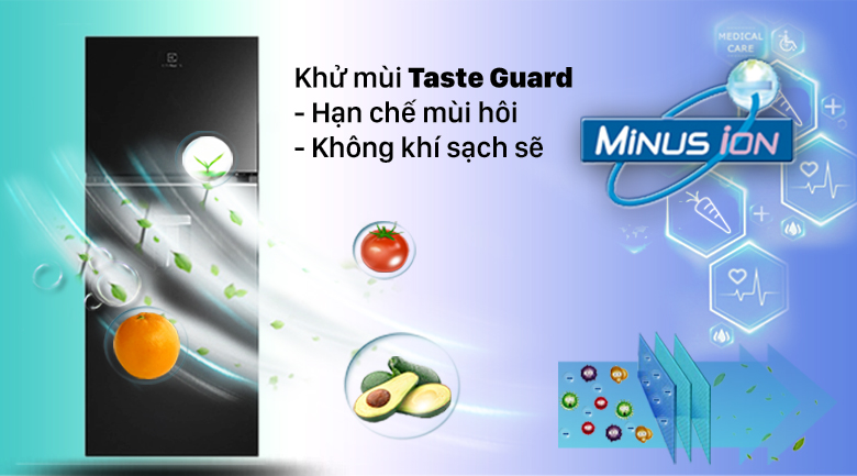 5. Công nghệ khử mùi hiệu quả trên tủ lạnh ETB3760K-H - Taste Guard