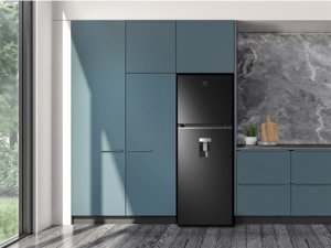 1. Thiết kế hiện đại, bắt mắt của tủ lạnh Electrolux ETB3440K-H phù hợp với mọi kiểu không gian