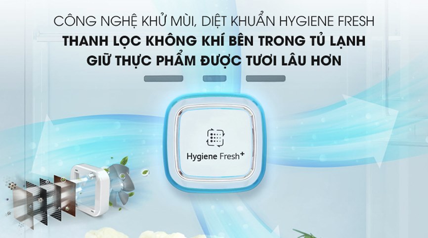3. Tủ lạnh LG sở hữu công nghệ Hygiene Fresh ™ giúp khử mùi hôi hoàn toàn