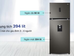 2. Tủ lạnh LG GN-D392PSA có thiết kế với dung tích 394 lít phù hợp nhất với gia đình có thành viên từ 3-4 người