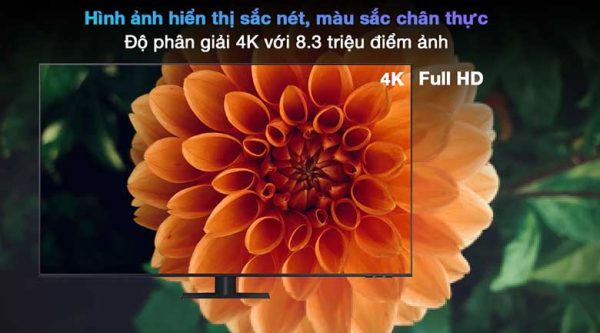 Độ phân giải 4K sắc nét gấp 4 lần Full HD