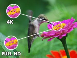 2. Tivi LG 4K 55UP8100PTB hình ảnh hiển thị chi tiết và sắc nét gấp 4 lần Full HD nhờ độ phân giải 4K 