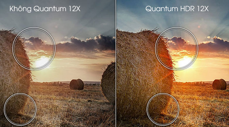 QA 50Q80A giúp tối ưu độ tương phản, độ sáng, màu sắc, độ nét hình ảnh với công nghệ Quantum HDR 12X