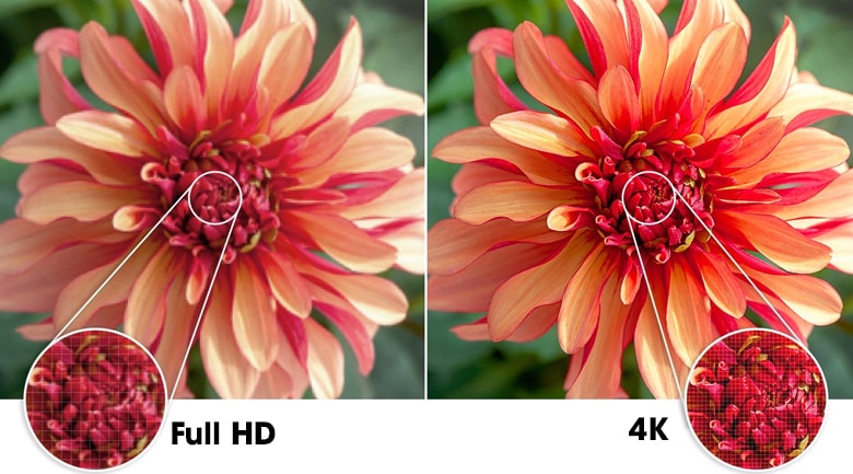 Hình ảnh trên 50AU7700 sắc nét gấp 4 lần Full HD nhờ độ phân giải 4K