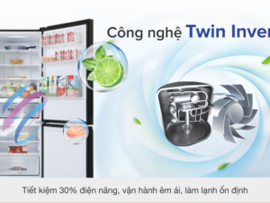 4. Công nghệ Twin Inverter nâng cao hiệu quả tiết kiệm điện