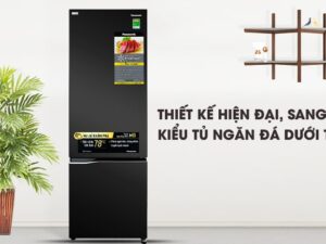 3. Khái quát về thiết kế và vẻ ngoài của tủ lạnh Panasonic giá rẻ