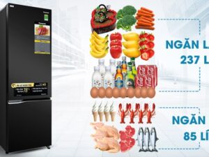 3. Khái quát về thiết kế và vẻ ngoài của tủ lạnh Panasonic giá rẻ