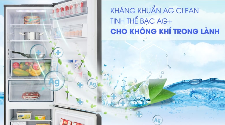 4. Tủ lạnh NR-BC360QKVN sở hữu nhiều công nghệ thông minh và tiện ích hiện đại