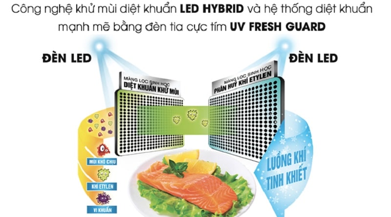 4. Khử mùi kháng khuẩn tối ưu nhờ công nghệ LED Hybryd trên tủ lạnh GR-WG66VDAZ