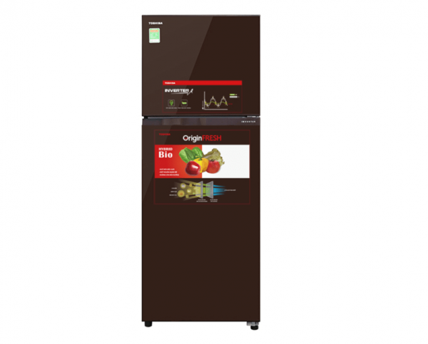 Tủ lạnh Toshiba Inverter 305 lít GR-AG36VUBZ XB1