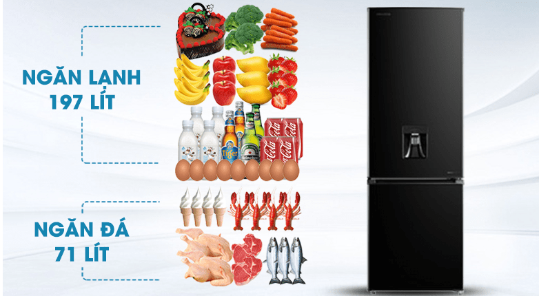 Tủ lạnh Toshiba GR-RB345WE-PMV(30)-BS phù hợp với gia đình từ 2 - 3 người