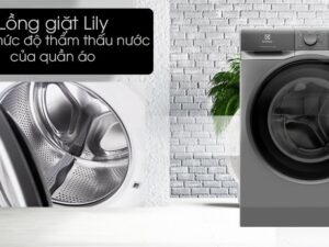 4. Sở hữu Lồng giặt Lily tăng mức độ thẩm thấu nước giúp quần áo thấm đều nước nhanh, giặt sạch hơn