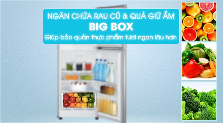 Tủ lạnh Samsung RT20K300ASE-SV với ngăn trữ rau củ & quả Big Box giữ ẩm