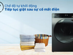 Máy giặt Sharp Inverter 12,5 Kg ES-FK1252SV-G giá rẻ tại Điện Máy Đất Việt