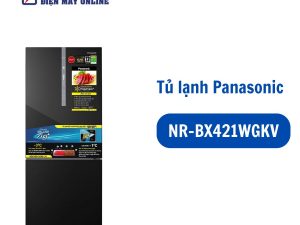 NR-BX421WGKV