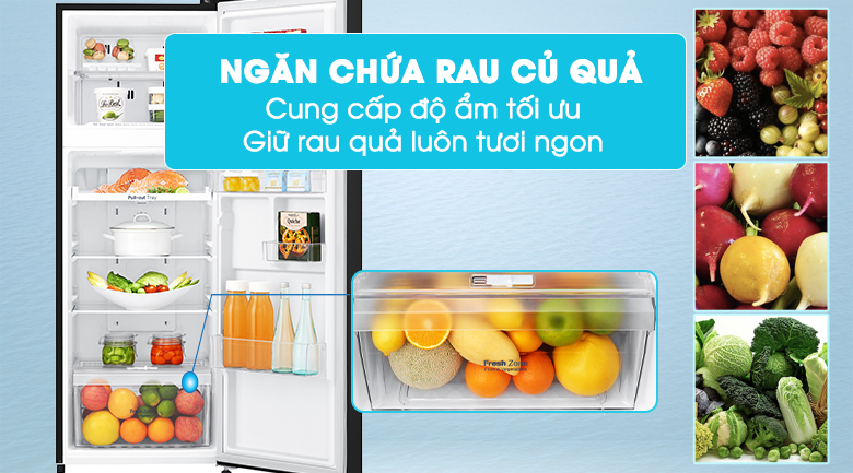 Ngăn rau củ cung cấp độ ẩm tối ưu