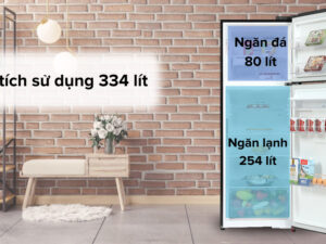 Tủ lạnh LG Inverter 334 lít GN-D332BL - Dung tích 334 lít