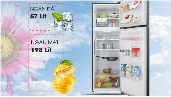 Dung tích tủ lạnh 255 lít phù hợp với gia đình có 2-3 thành viên