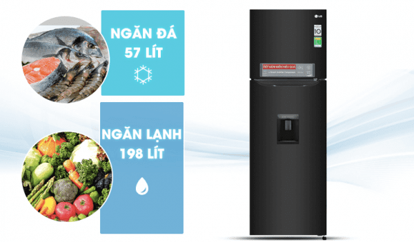 Tủ lạnh LG Inverter GN-D255BL phù hợp gia đình ít người