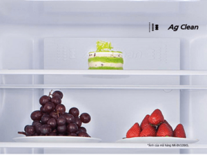 5. Công nghệ Ag Clean trên tủ lạnh BX421WGKV giúp ngăn chặn vi khuẩn, nấm mốc hiệu quả 