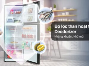 Tủ lạnh Samsung Inverter 302 Lít RT29K503JB1/SV - Công nghệ kháng khuẩn, khử mùi