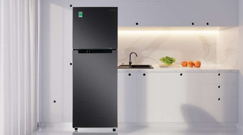 Tủ lạnh Samsung Inverter 302 Lít RT29K503JB1/SV - Tổng quan thiết kế