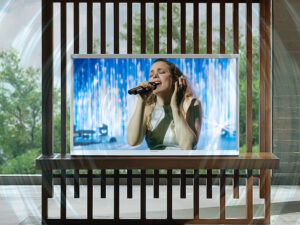 Smart Tivi Kiểu Chữ Có Chân The Serif QLED Samsung 4K 50 inch QA50LS01BB - Công nghệ âm thanh