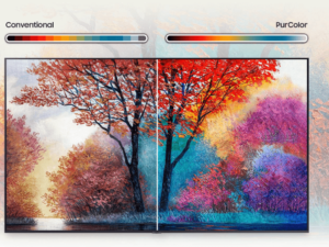 2. Tivi 65 inch Tivi Samsung 4K 65AU7000 có màu sắc sinh động, rực rỡ nhờ công nghệ PurColor