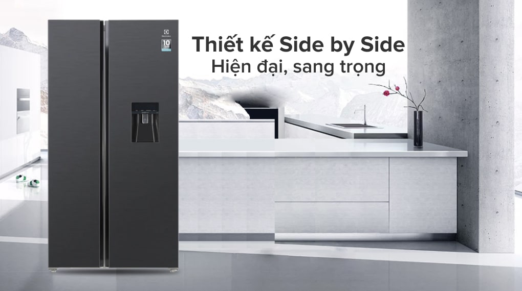 1. Tủ lạnh Electrolux ESE6141A-BVN kiểu dáng sang trọng, hiện đại thẩm mỹ