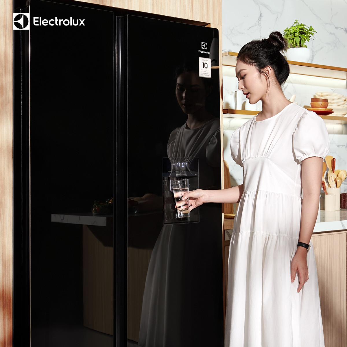 9. Thông tin có thể bạn muốn biết về tủ lạnh Electrolux side by side
