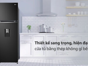 Tủ lạnh LG Inverter 264 Lít GV-D262BL - Tổng quan thiết kế