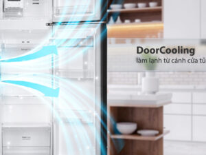 Tủ lạnh LG Inverter 264 Lít GV-D262BL - Công nghệ làm lạnh