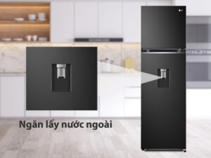Tủ lạnh LG Inverter 264 Lít GV-D262BL - Tiện ích