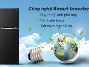 Tủ lạnh LG Inverter 266 Lít GV-B262WB - Công nghệ Smart Inverter tiết kiệm điện và vận hành êm ái 