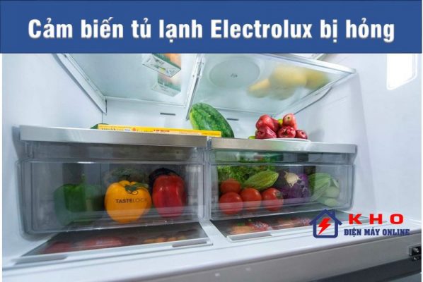 Cảm biến tủ lạnh Electrolux bị hỏng