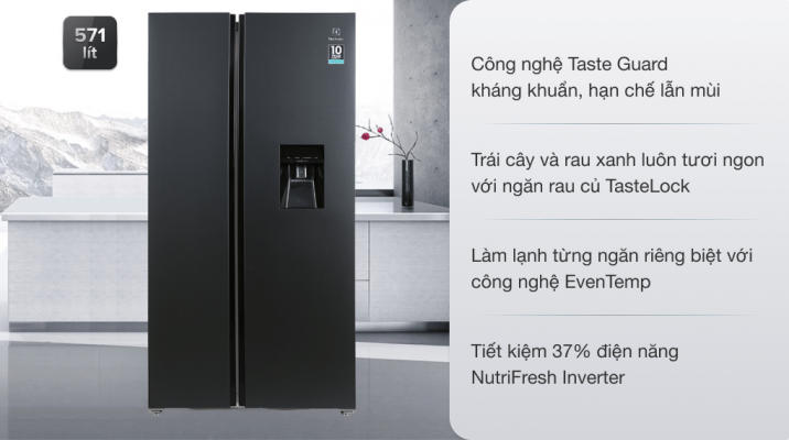4. Tủ lạnh Electrolux ESE6141A-BVN inverter 571 lít