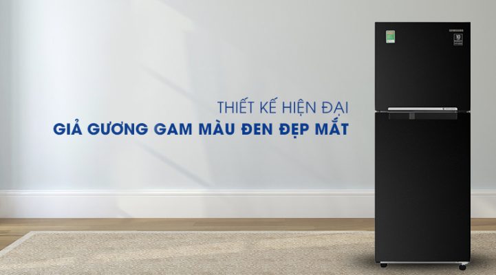 1. Tủ lạnh Samsung Inverter 208 lít RT20HAR8DBU/SV