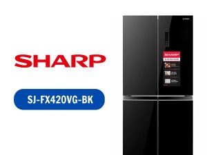 SJ-FX420VG-BK