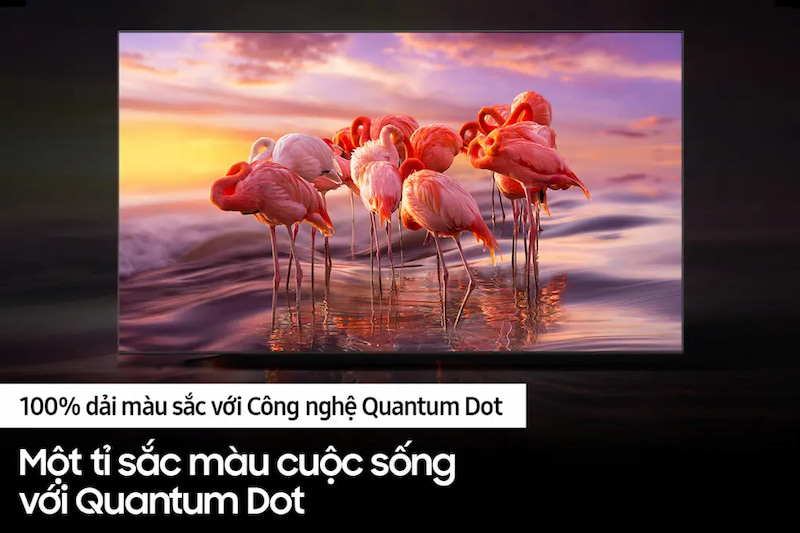 Công nghệ Quantum Dot hiển thị dải màu chân thực