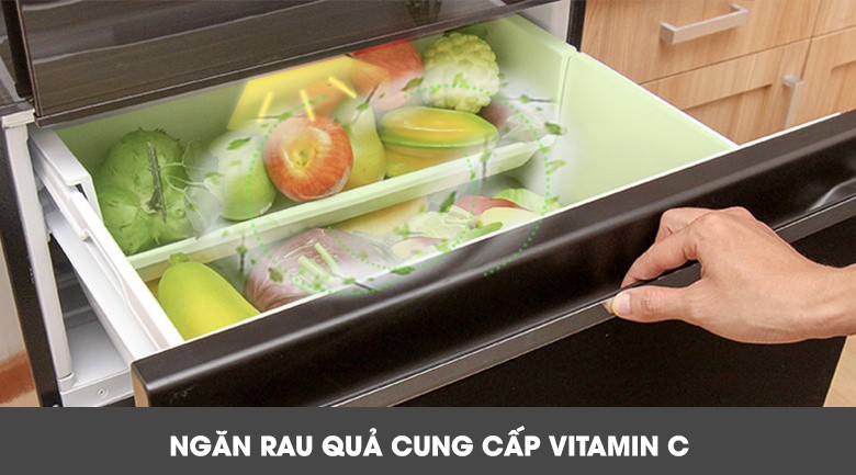 Tủ lạnh Mitsubishi MR-CGX41EN-GBR-V giúp bảo quản tủ lạnh luôn tươi ngon