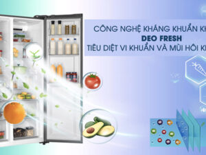 Công nghệ kháng khuẩn khử mùi DEO Fresh - Tủ lạnh AQUA Inverter 576 lít AQR-IG696FS GB 
