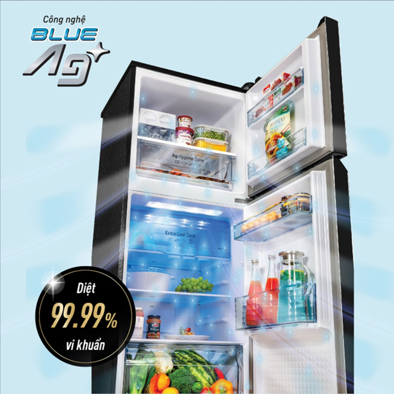 Tủ lạnh Panasonic Inverter 268 lít NR-TV301BPKV kháng khuẩn blue ag 
